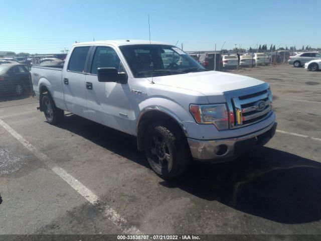 FORD F-150 2013 1ftfw1et4dfb54733