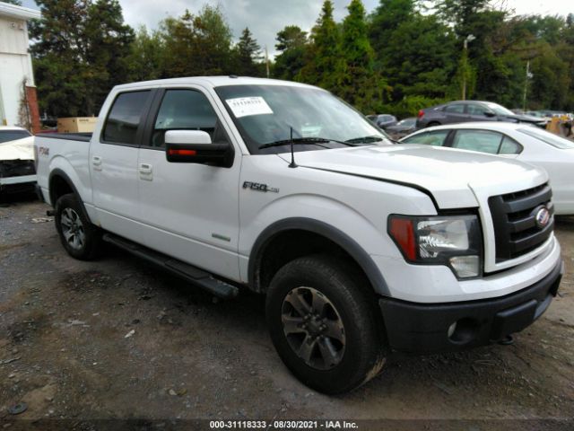 FORD F-150 2013 1ftfw1et4dfb65604