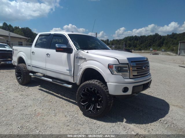 FORD F-150 2013 1ftfw1et4dfc46893