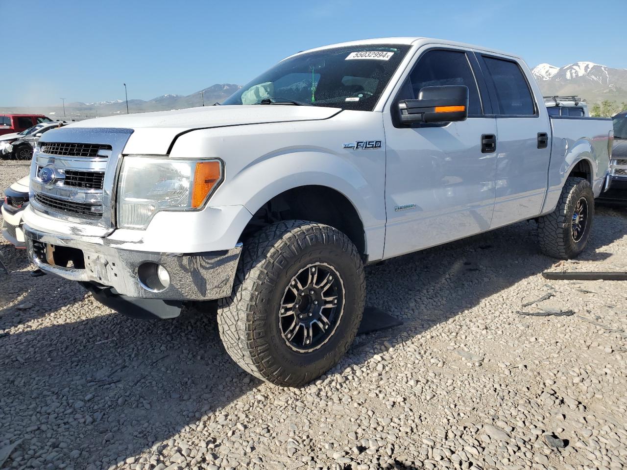 FORD F-150 2013 1ftfw1et4dfc50300