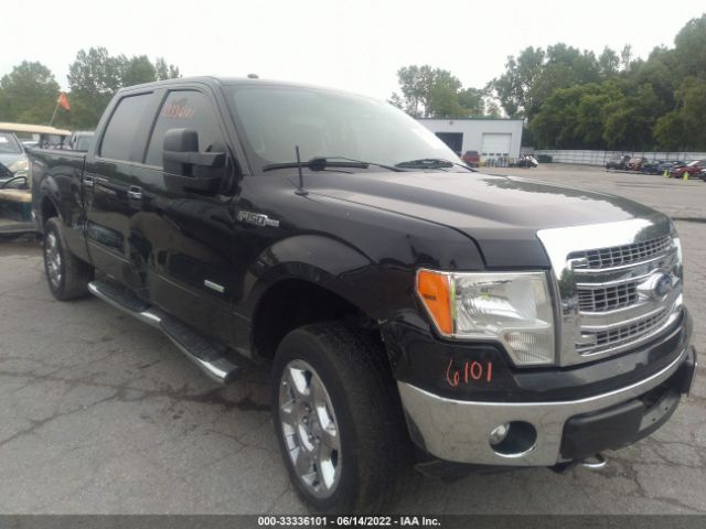 FORD F-150 2013 1ftfw1et4dfc70949