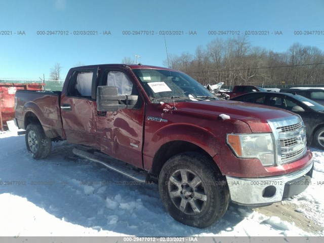 FORD F-150 2013 1ftfw1et4dfc73429