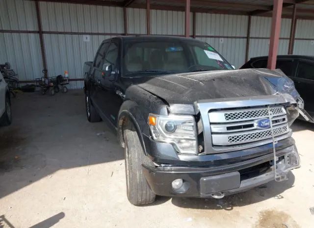 FORD F-150 2013 1ftfw1et4dfc94846