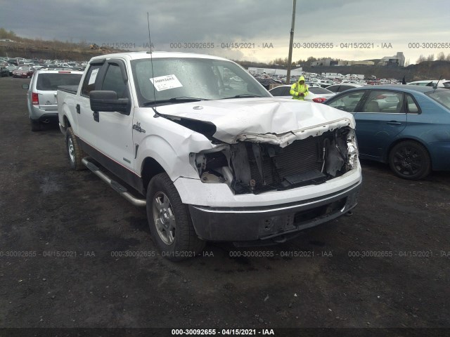 FORD F-150 2013 1ftfw1et4dfd04744