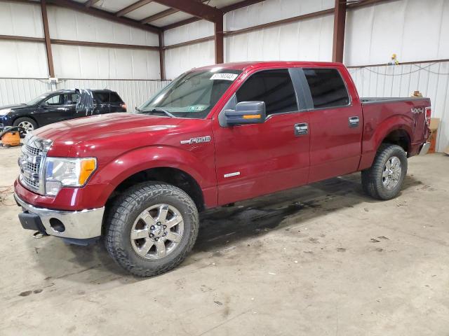 FORD F-150 2013 1ftfw1et4dfd07952