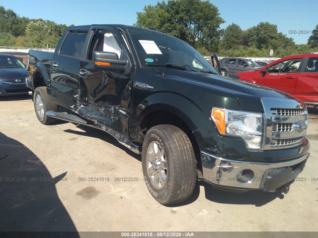 FORD F-150 2013 1ftfw1et4dfd38845