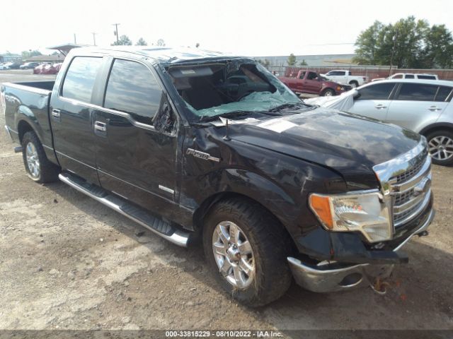 FORD F-150 2013 1ftfw1et4dfd44211