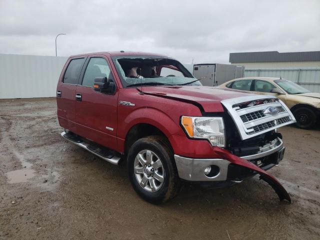 FORD 150 2013 1ftfw1et4dfd68881