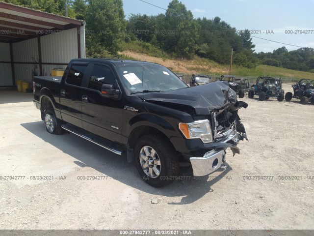 FORD F-150 2013 1ftfw1et4dkd04539