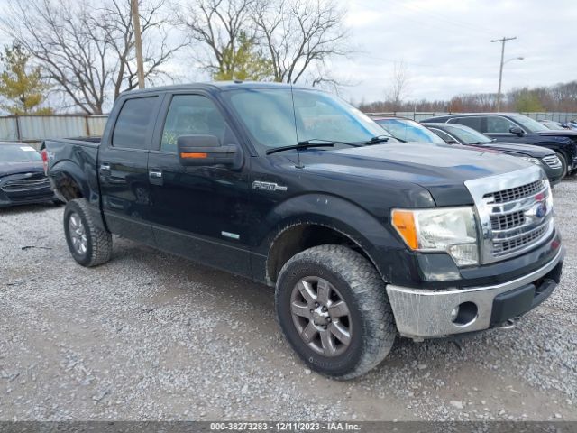 FORD F-150 2013 1ftfw1et4dkd43079