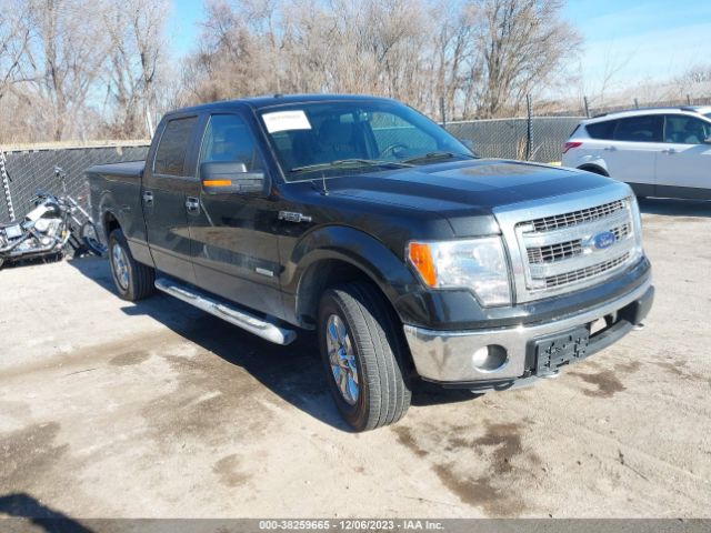 FORD F-150 2013 1ftfw1et4dkd53594