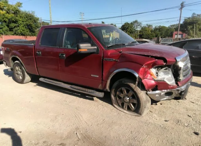 FORD F-150 2013 1ftfw1et4dkd56253