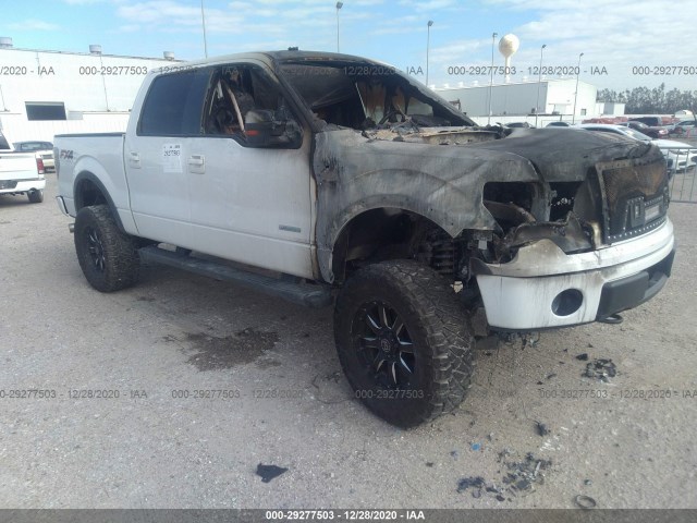 FORD F-150 2013 1ftfw1et4dkd64126