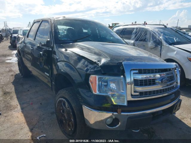 FORD F-150 2013 1ftfw1et4dkd89186