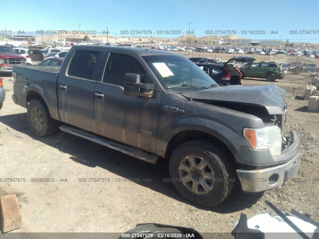 FORD F-150 2013 1ftfw1et4dke17505