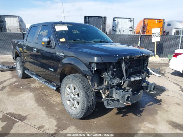 FORD F-150 2013 1ftfw1et4dke39732