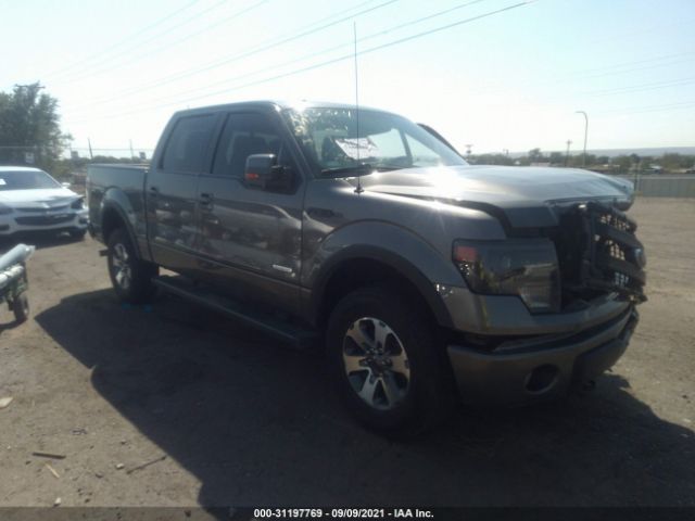 FORD F-150 2013 1ftfw1et4dkf79196