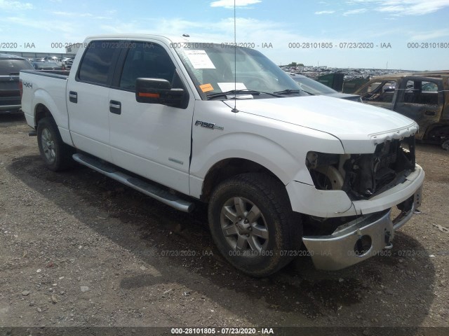 FORD F-150 2013 1ftfw1et4dkf95639