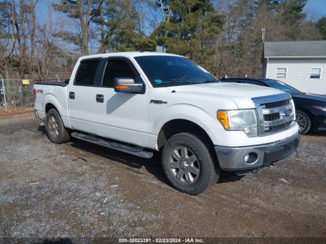 FORD F-150 2014 1ftfw1et4efa01934