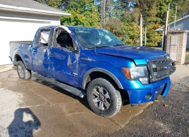 FORD F-150 2014 1ftfw1et4efa59672