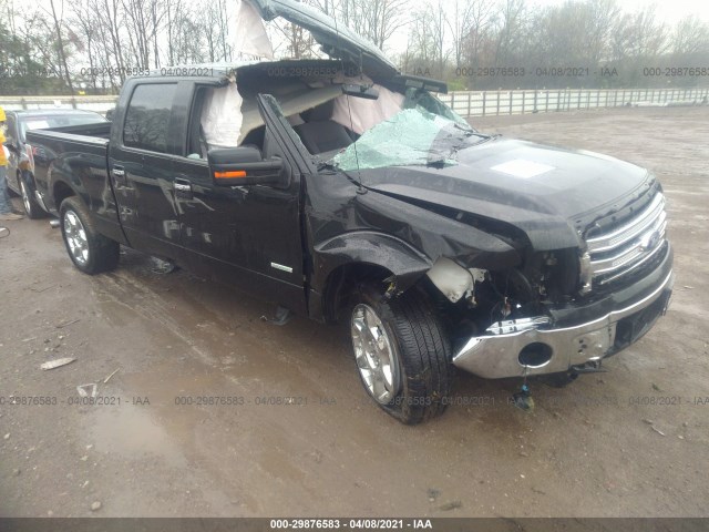 FORD F-150 2014 1ftfw1et4efb05243