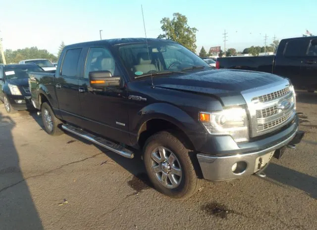 FORD F-150 2014 1ftfw1et4efc41761