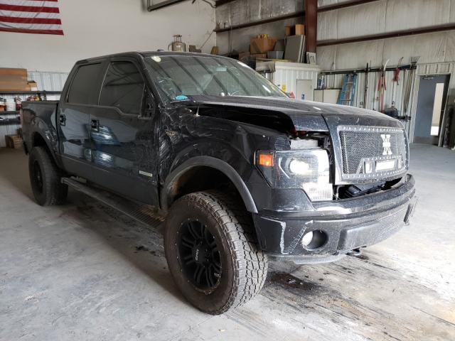 FORD F-150 2014 1ftfw1et4efd03305