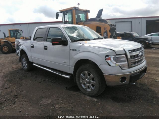 FORD F-150 2014 1ftfw1et4efd05586