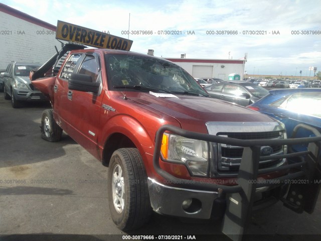 FORD F-150 2014 1ftfw1et4eke65569