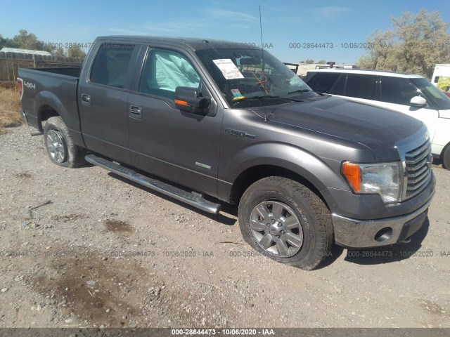 FORD F-150 2011 1ftfw1et5bfb03206