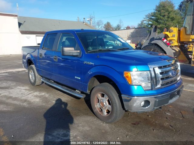 FORD F-150 2011 1ftfw1et5bfb87365