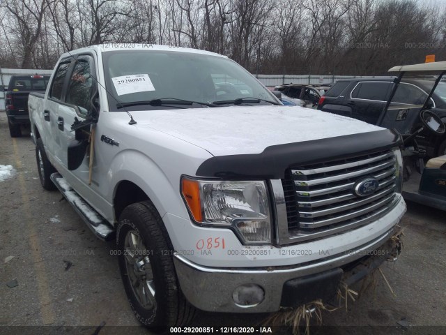 FORD F-150 2011 1ftfw1et5bfc07484