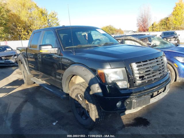 FORD F-150 2011 1ftfw1et5bkd77657