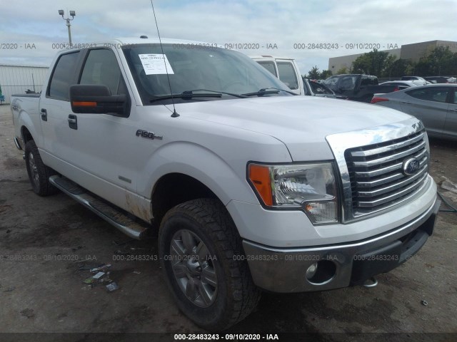 FORD F-150 2012 1ftfw1et5cfa04239