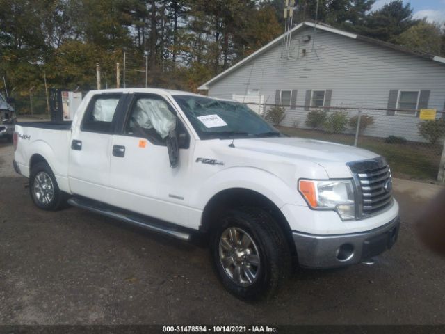 FORD F-150 2012 1ftfw1et5cfa18769