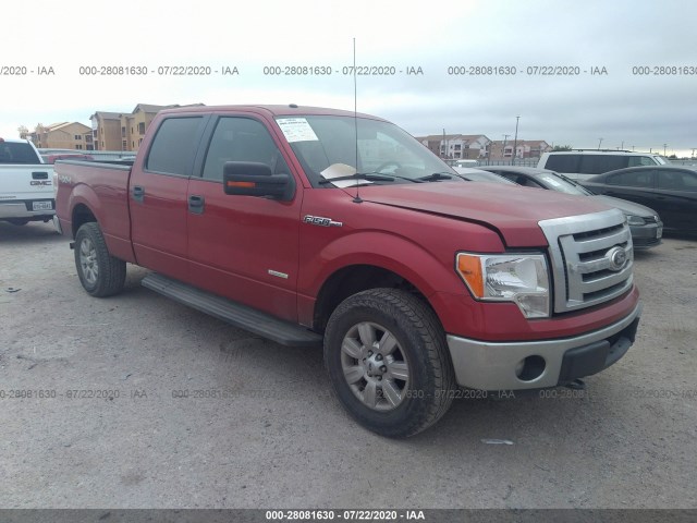 FORD F-150 2012 1ftfw1et5cfb21769