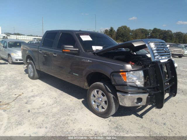 FORD F-150 2012 1ftfw1et5cfb51712