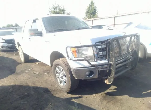 FORD F-150 2013 1ftfw1et5dfa60747