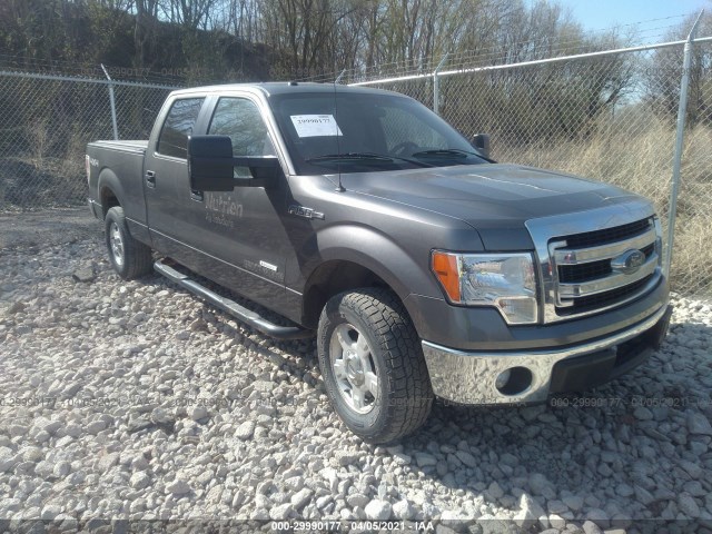 FORD F-150 2013 1ftfw1et5dfa91528