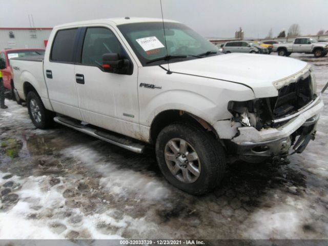 FORD F-150 2013 1ftfw1et5dfc13224