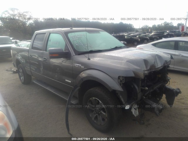 FORD F-150 2013 1ftfw1et5dfc77960