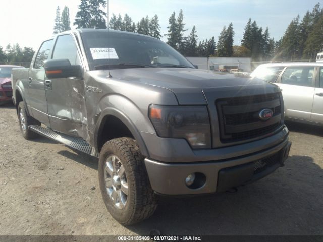 FORD F-150 2013 1ftfw1et5dfc98727