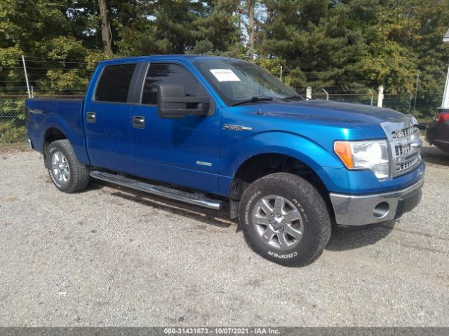 FORD F-150 2013 1ftfw1et5dfd24176