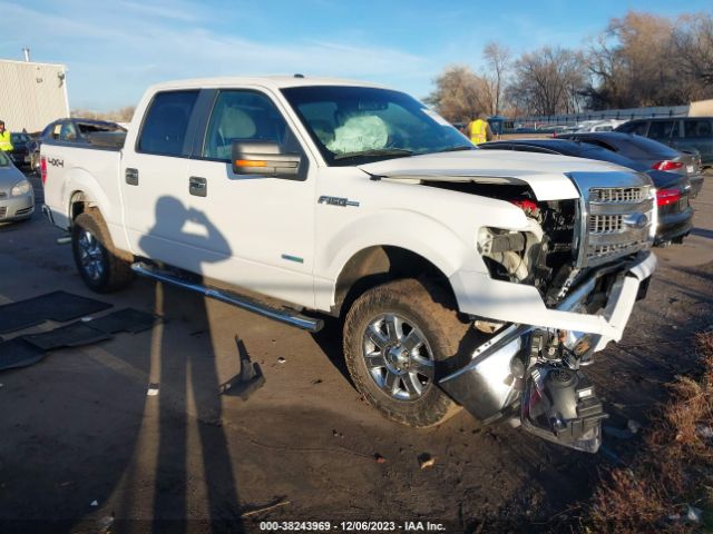 FORD NULL 2013 1ftfw1et5dfd61650