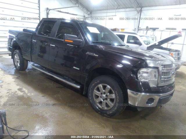 FORD F-150 2013 1ftfw1et5dfd65519