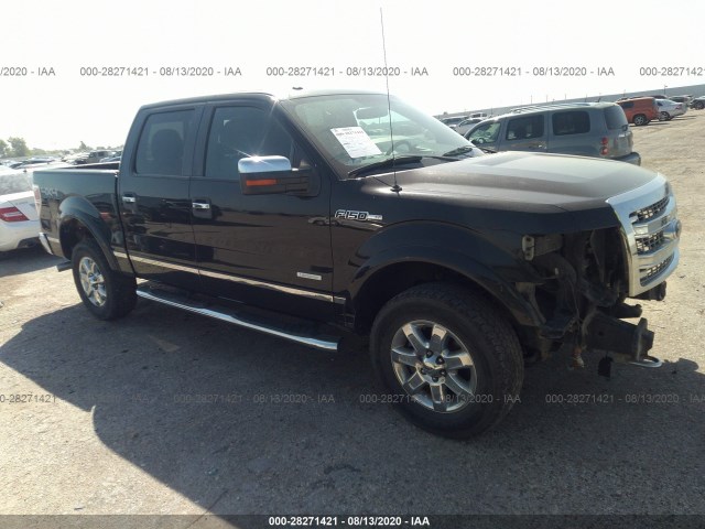 FORD F-150 2013 1ftfw1et5dkd59520