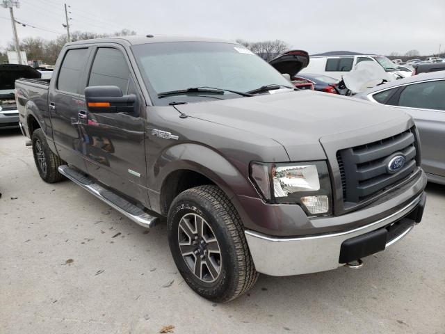 FORD F-150 2013 1ftfw1et5dke63599