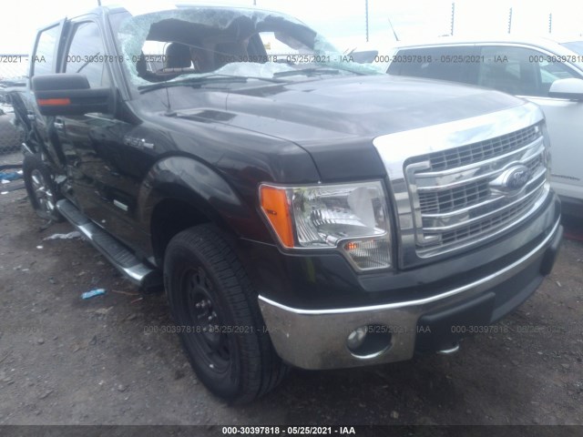 FORD F-150 2013 1ftfw1et5dkg06924