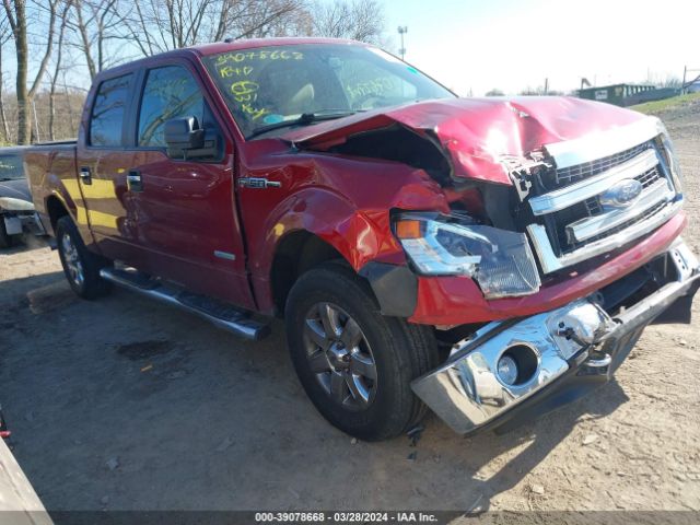 FORD F-150 2014 1ftfw1et5efa26731