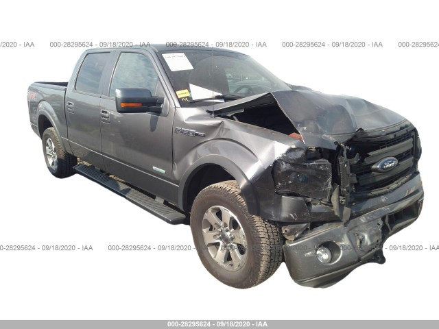 FORD F-150 2014 1ftfw1et5efb69954